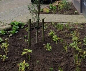 Alledaagse dienstverlening